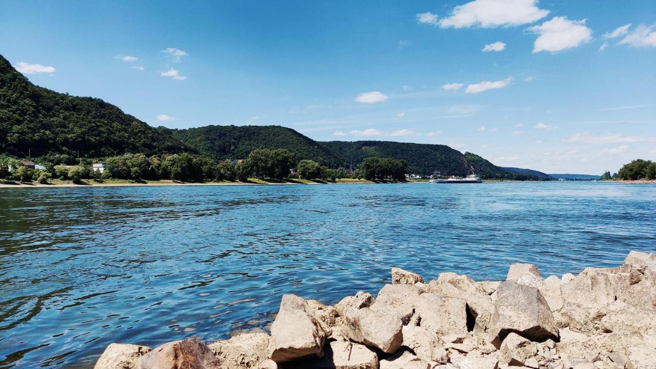 Margaretes Gaestehaus Am Rheinsteig Wanderer Radfahrer Familien Business-Reisende Wlan Gratis Rheinbrohl Exteriér fotografie